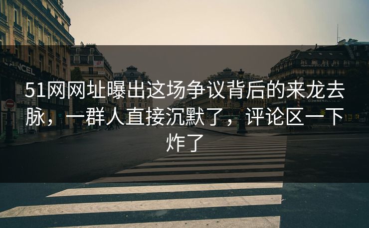 51网网址曝出这场争议背后的来龙去脉，一群人直接沉默了，评论区一下炸了